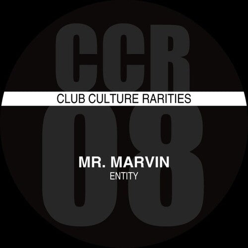 Mr Marvin - Entity - Vinyl Record