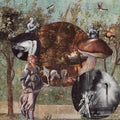 Native Harrow - Old Kind Of Magic - Music CD