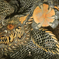 Neptunian Maximalism - Live At Roadburn Redux - Vinyl Record