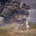 White Buffalo - Year Of The Dark Horse - Vinyl Record