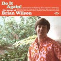 Do It Again: The Songs Of Brian Wilson / Various - Do It Again: The Songs Of Brian Wilson / Various - Music CD