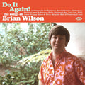 Do It Again: The Songs Of Brian Wilson / Various Music CD