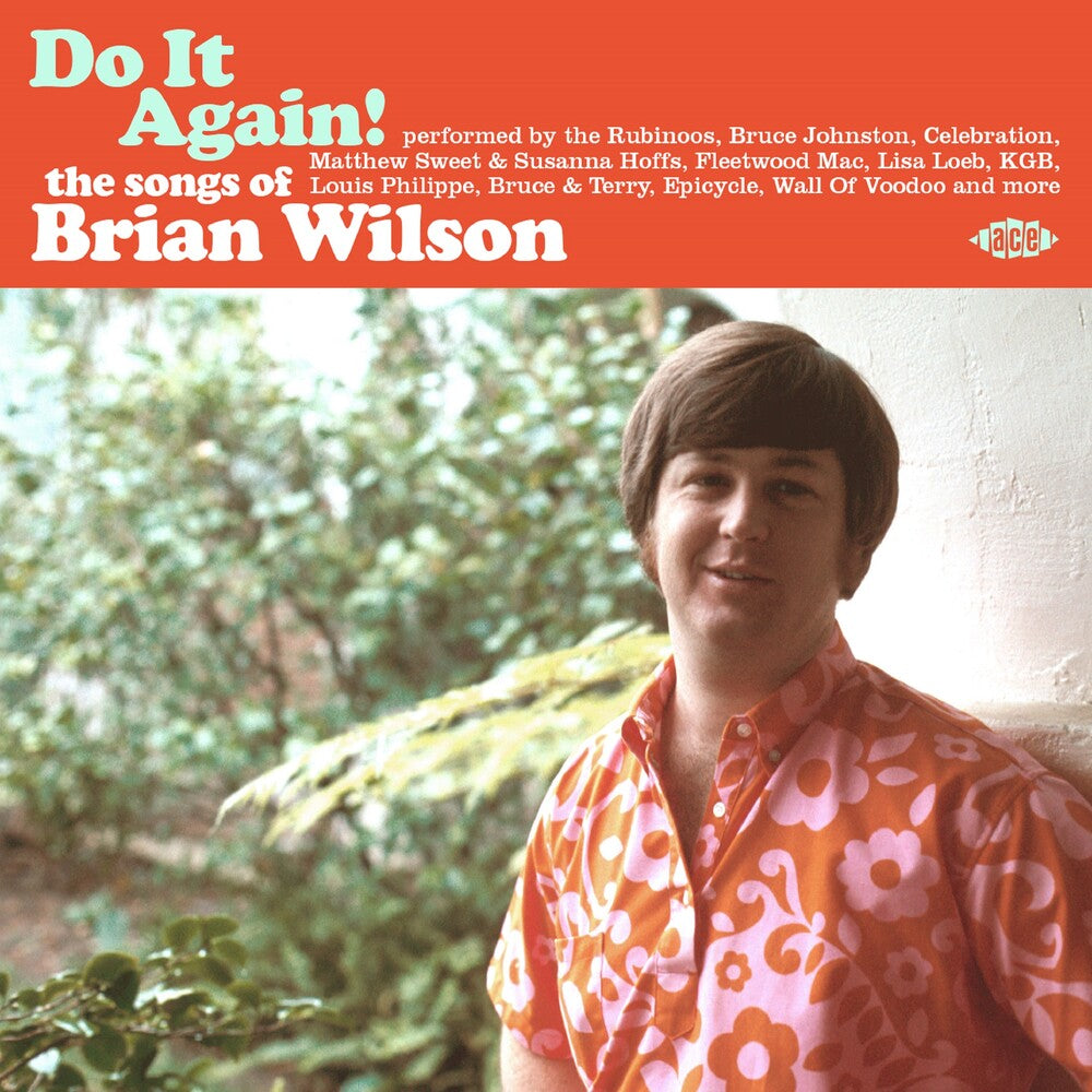 Do It Again: The Songs Of Brian Wilson / Various Music CD