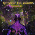 Cosmic Affect [LP] Vinyl Record