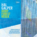 Galper,hal - Ivory Forest Redux - Music CD
