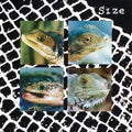 Size - Nadie Puede Vivir Con Un Monstruo - Vinyl Record