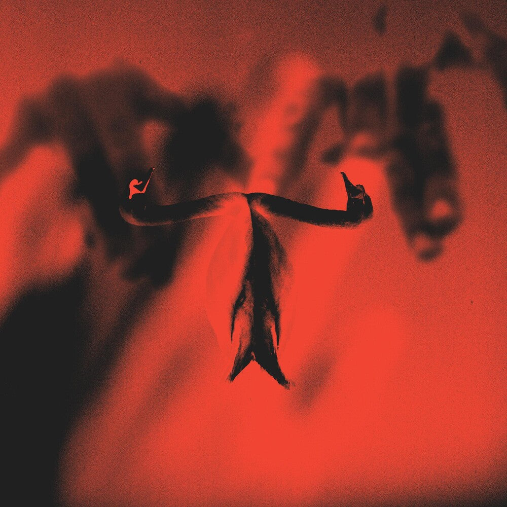 Maxim Mental - Make Team Presents Maxim Mental In Maximalism [Indie Exclusive Limited Edition Red & Black Marble LP]