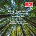Piston / Saens / Zemlinsky - Trios - Music CD