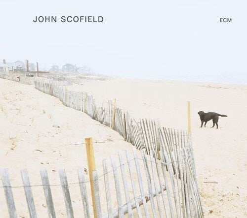 Scofield,john - John Scofield - Vinyl Record