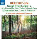 Beethoven / Grodd / Pettman Ensemble - Grand Symphonies Vol 2 - Nos 2 & 6 - Music CD