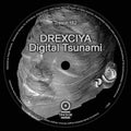 Drexciya - Digital Tsunami - Vinyl Record