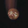 Poolblood - Mole - Vinyl Record