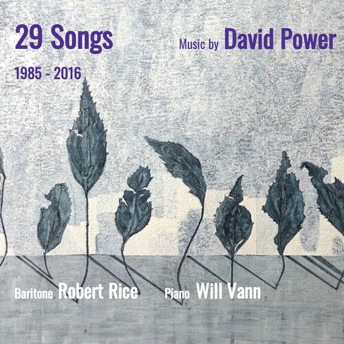 Rice,robert / Vann,william - 29 Songs: Music By David Power 1985-2016 - Music CD