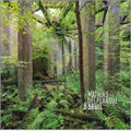 Delplanque,mathias - O Seuil - Vinyl Record