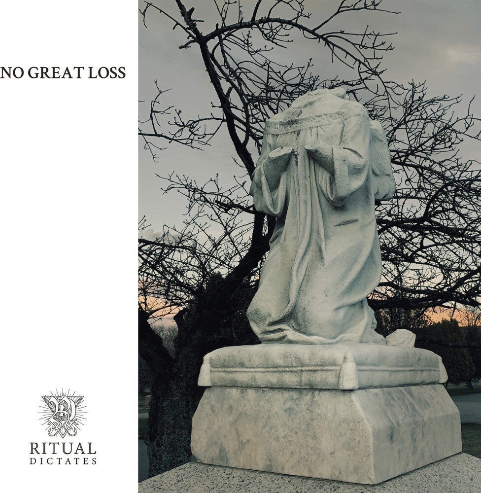 No Great Loss [Clear Vinyl] [Limited Edition] Vinyl Record