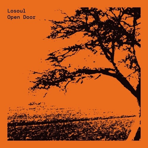 Losoul - Open Door - Vinyl Record