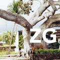 Zg - Zg - Vinyl Record