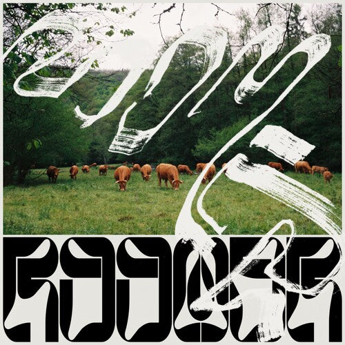 Roomer - Skice - Vinyl Record