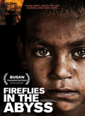 Fireflies In The Abyss - Fireflies In The Abyss - DVD