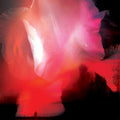 Rumskib - Red [Colored Vinyl] [Limited Edition] (Red) Vinyl Record