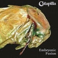 Catapilla - Embryonic Fusion - Vinyl Record