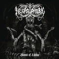 Womb Of Lilithu (Gate) (Post) [Reissue] Vinyl Record
