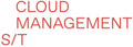 Cloud Management - Cloud Management - Vinyl Record