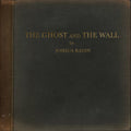Radin,joshua - Ghost & The Wall - Music CD