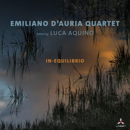 D'auria,emiliano / Aquino,luca - In-equilibrio - Music CD