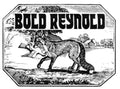Carroll,david & Friends - Bold Reynold - Music CD