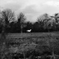 When You Run Away, Do You Close Your Eyes (Blk) [LP] Vinyl Record