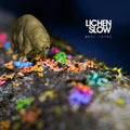 Lichen Slow - Rest Lurks - Vinyl Record