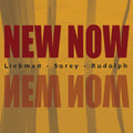 Liebman,dave / Rudolph,adam / Sorey,tyshawn - New Now - Music CD