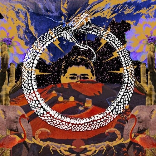 Stone House On Fire - Neverending Cycle - Vinyl Record