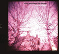 Lilly Joel Plays The Organ - Sibyl Of The Rhine - Music CD