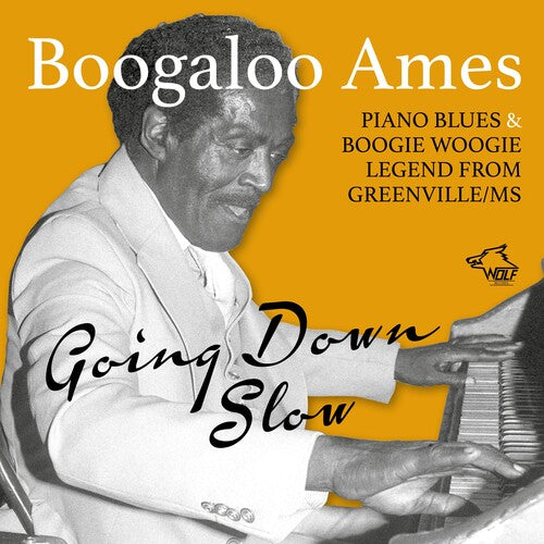 Boogaloo,ames - Going Down Slow - Music CD