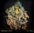 Rot Away [LP] Vinyl Record