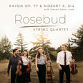 Haydn / Dann / Rosebud String Quartet - String Quartet In G Major - Music CD