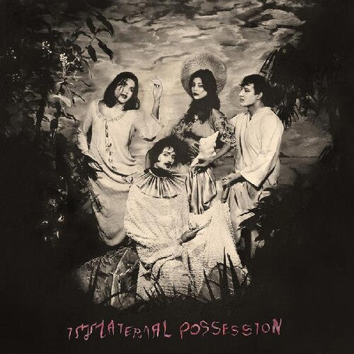 Immaterial Possession - Immaterial Possession - Vinyl Record