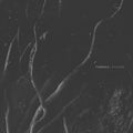 Fvnerals - Wounds - Music CD