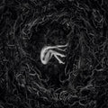 Fvnerals - Let The Earth Be Silent - Music CD