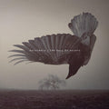 Katatonia - Fall Of Hearts - Music CD