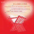 Fabricius,werner / La Protezione Della Musica - O Liebes Kind - Christmas Musi - Music CD