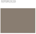 Noto,alva / Gore,martin L / Basinski,william - Subterraneans - Vinyl Record