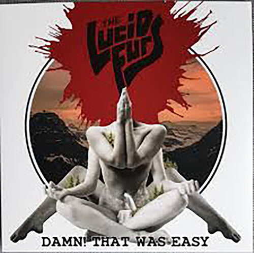 Lucid Furs - Damn That Was Easy - Vinyl Record