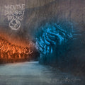 When The Deadbolt Break - As Hope Valley Burns - Vinyl Record