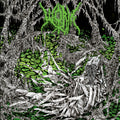 Worm - Gloomlord - Splatter - Vinyl Record