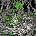 Worm - Gloomlord