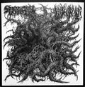 Spectral Voice / Blood Incantation - Split - Vinyl Record