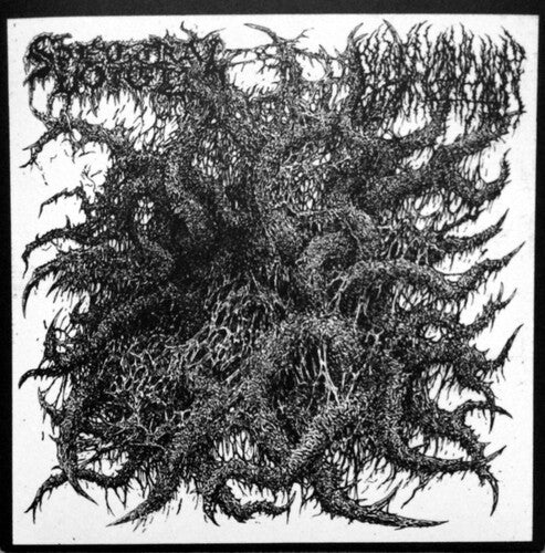 Spectral Voice / Blood Incantation - Split - Vinyl Record